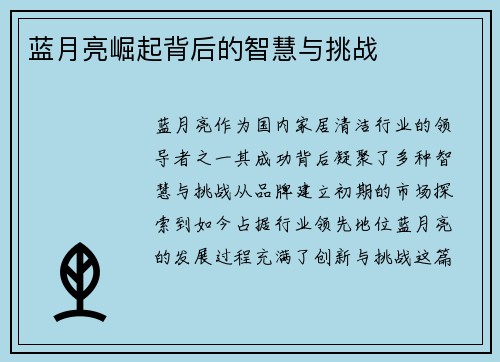蓝月亮崛起背后的智慧与挑战